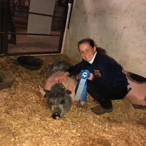 Meet your Posher, Destiny